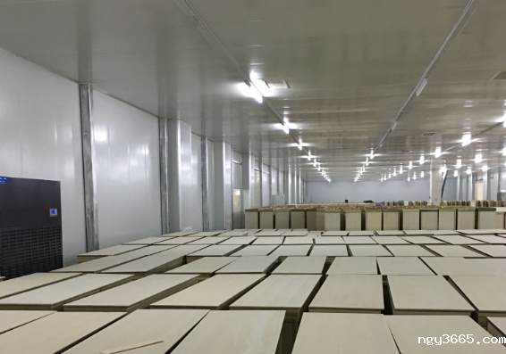 恒温恒湿养护房