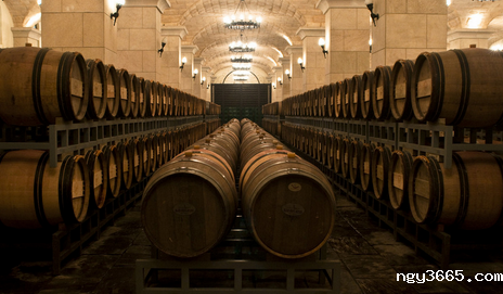 恒温恒湿酒窖设计