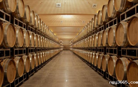 恒温恒湿酒窖设计