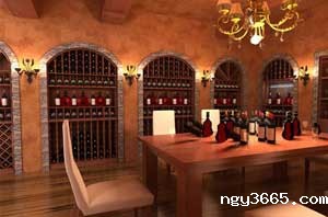 恒温恒湿酒窖装修