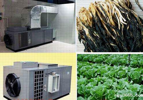 什么是食品烘干房?