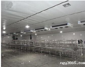 冷库工程该如何进行项目工程规划