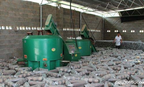 大型食用菌工厂化机械化