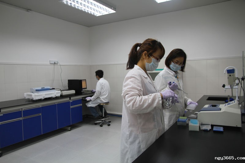 纸制品恒温恒湿实验室