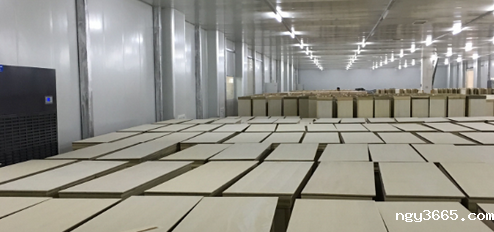 木材平衡窑车间