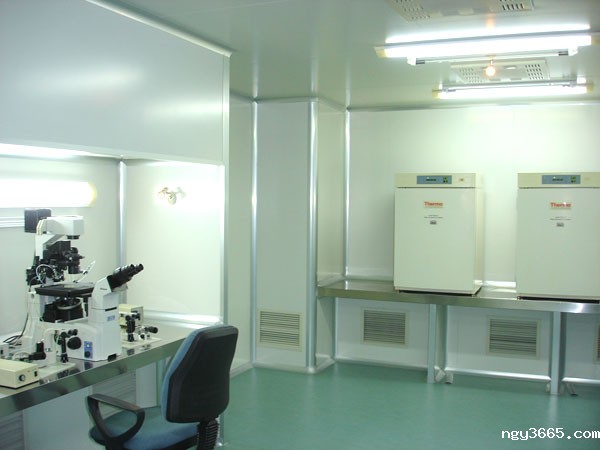 食品洁净生产车间