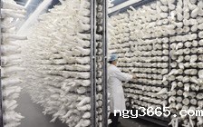 食用菌恒温恒湿培养室