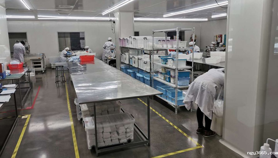 医用口罩无尘净化车间